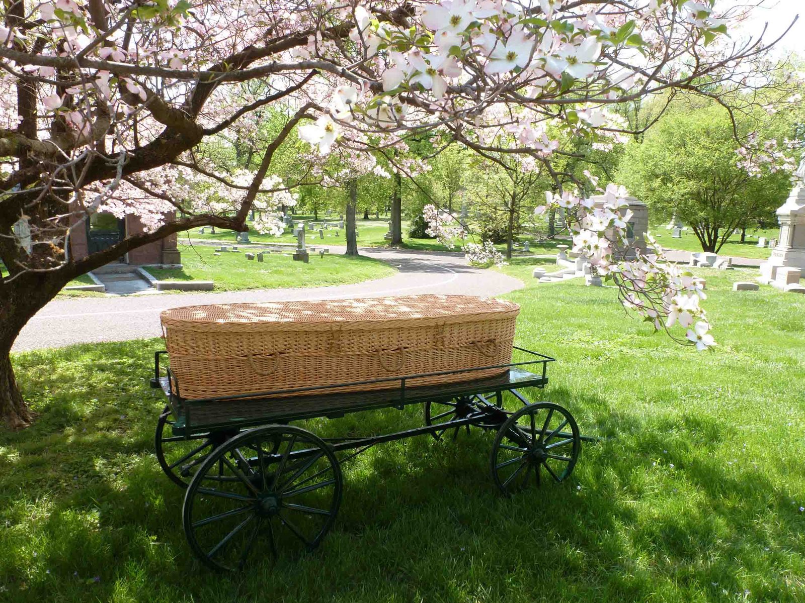 7 Facts About Your Green Burial Options